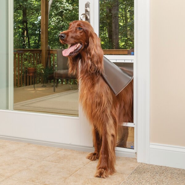 Extra large dog door sliding glass sale